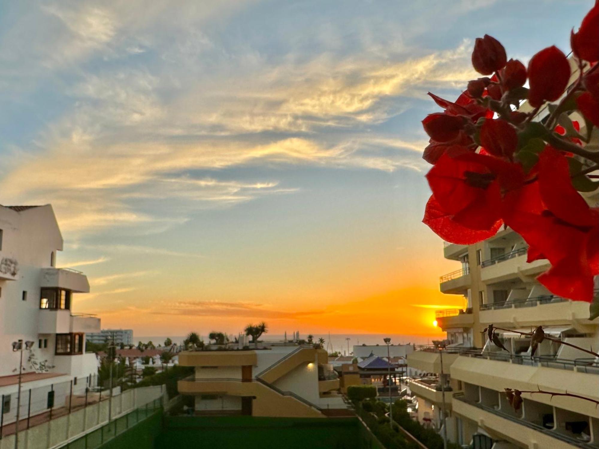 Apartment In Ocean Park, Costa Adeje, Tenerife Exterior foto