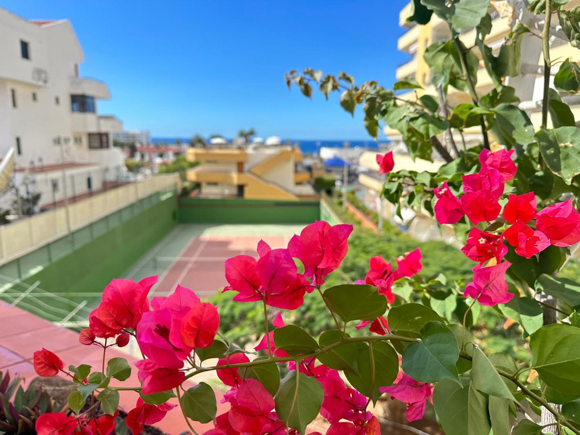 Apartment In Ocean Park, Costa Adeje, Tenerife Exterior foto